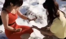 内涵爆料段子搞笑视频,揭秘搞笑视频背后的爆笑段子